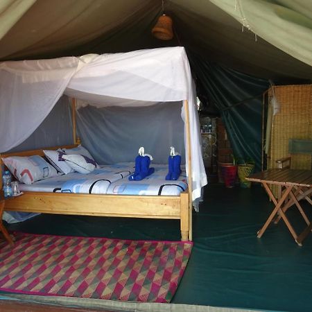 Crocodile Camp-Masai Mara Hotell Talek Eksteriør bilde