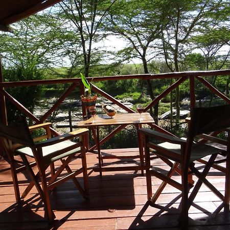 Crocodile Camp-Masai Mara Hotell Talek Eksteriør bilde