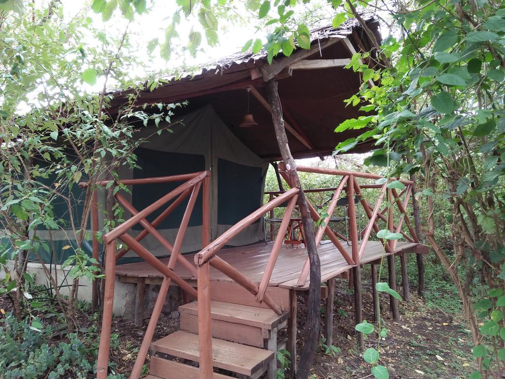 Crocodile Camp-Masai Mara Hotell Talek Eksteriør bilde