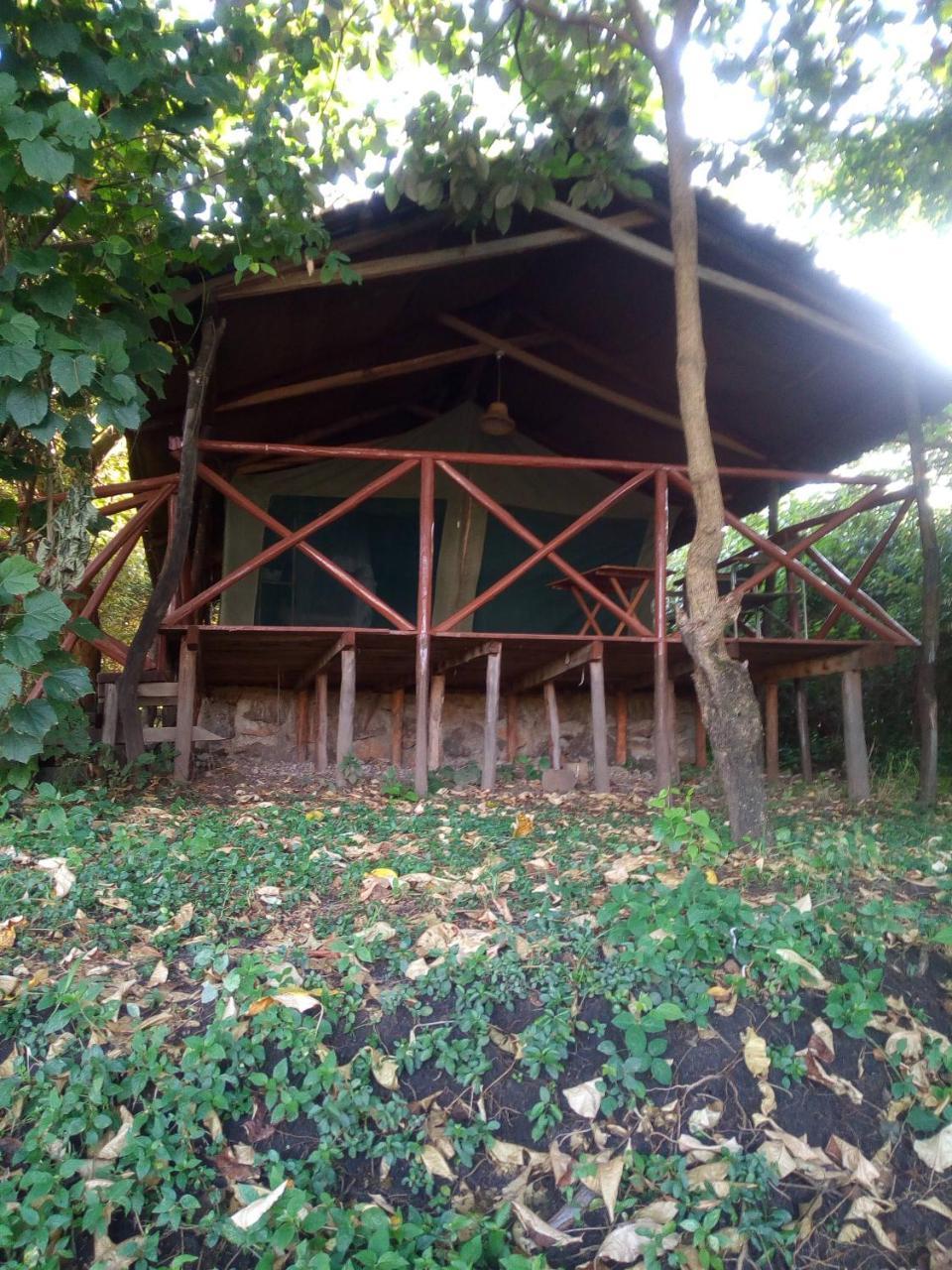 Crocodile Camp-Masai Mara Hotell Talek Eksteriør bilde